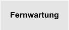 Fernwartung